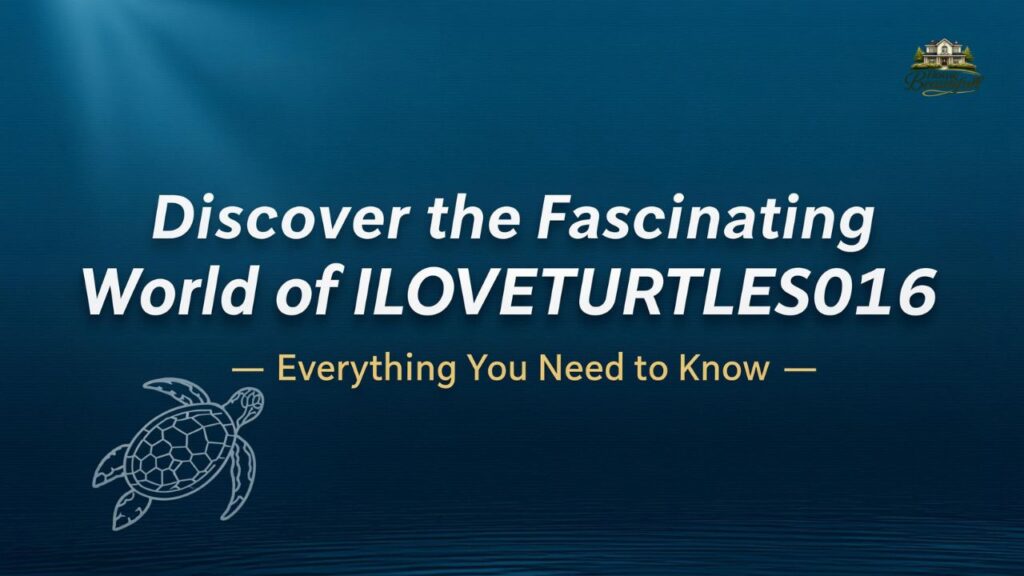 Discover the Fascinating World of ILOVETURTLES016 – Everything You Need to Know