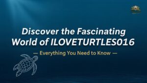 Discover the Fascinating World of ILOVETURTLES016 – Everything You Need to Know