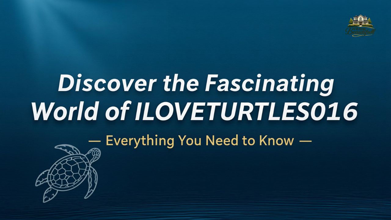 Discover the Fascinating World of ILOVETURTLES016 – Everything You Need to Know
